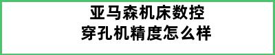 亚马森机床数控穿孔机精度怎么样