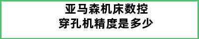 亚马森机床数控穿孔机精度是多少