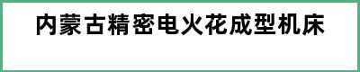 内蒙古精密电火花成型机床