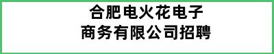 合肥电火花电子商务有限公司招聘