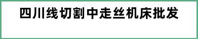 四川线切割中走丝机床批发