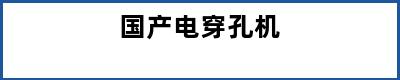 国产电穿孔机