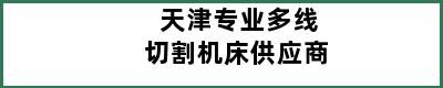 天津专业多线切割机床供应商