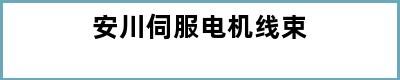 安川伺服电机线束