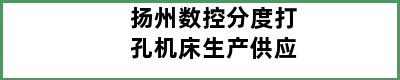 扬州数控分度打孔机床生产供应