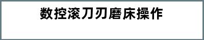 数控滚刀刃磨床操作