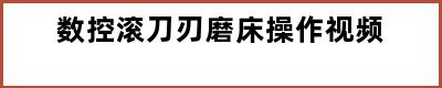 数控滚刀刃磨床操作视频