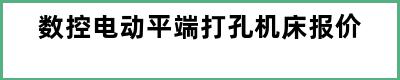 数控电动平端打孔机床报价