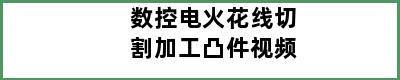 数控电火花线切割加工凸件视频