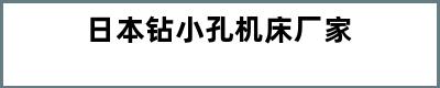 日本钻小孔机床厂家