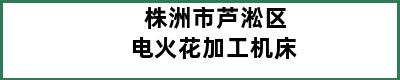 株洲市芦淞区电火花加工机床