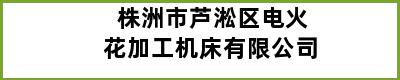 株洲市芦淞区电火花加工机床有限公司