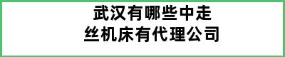 武汉有哪些中走丝机床有代理公司