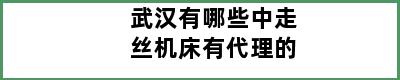 武汉有哪些中走丝机床有代理的