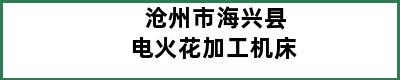 沧州市海兴县电火花加工机床