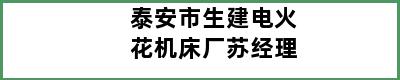 泰安市生建电火花机床厂苏经理