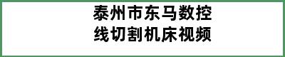 泰州市东马数控线切割机床视频