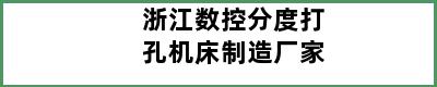 浙江数控分度打孔机床制造厂家