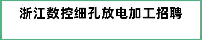 浙江数控细孔放电加工招聘