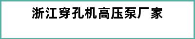 浙江穿孔机高压泵厂家