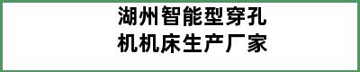 湖州智能型穿孔机机床生产厂家