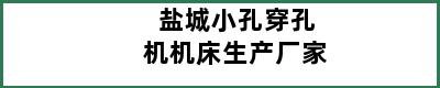 盐城小孔穿孔机机床生产厂家