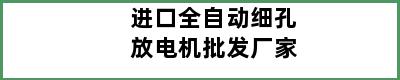 进口全自动细孔放电机批发厂家