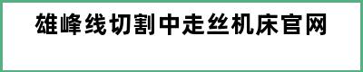 雄峰线切割中走丝机床官网