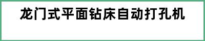 龙门式平面钻床自动打孔机